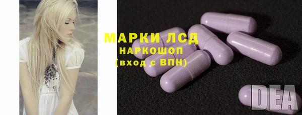 apvp Алзамай
