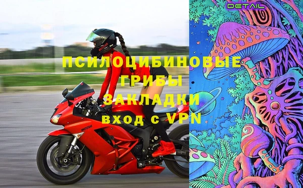 apvp Алзамай