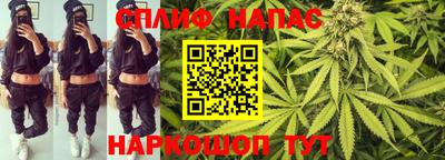 бошки Шелехов