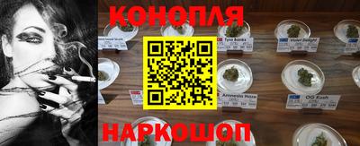 бошки Шелехов