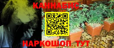 молекула духа Шахты