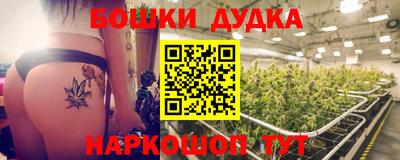 бошки Шелехов