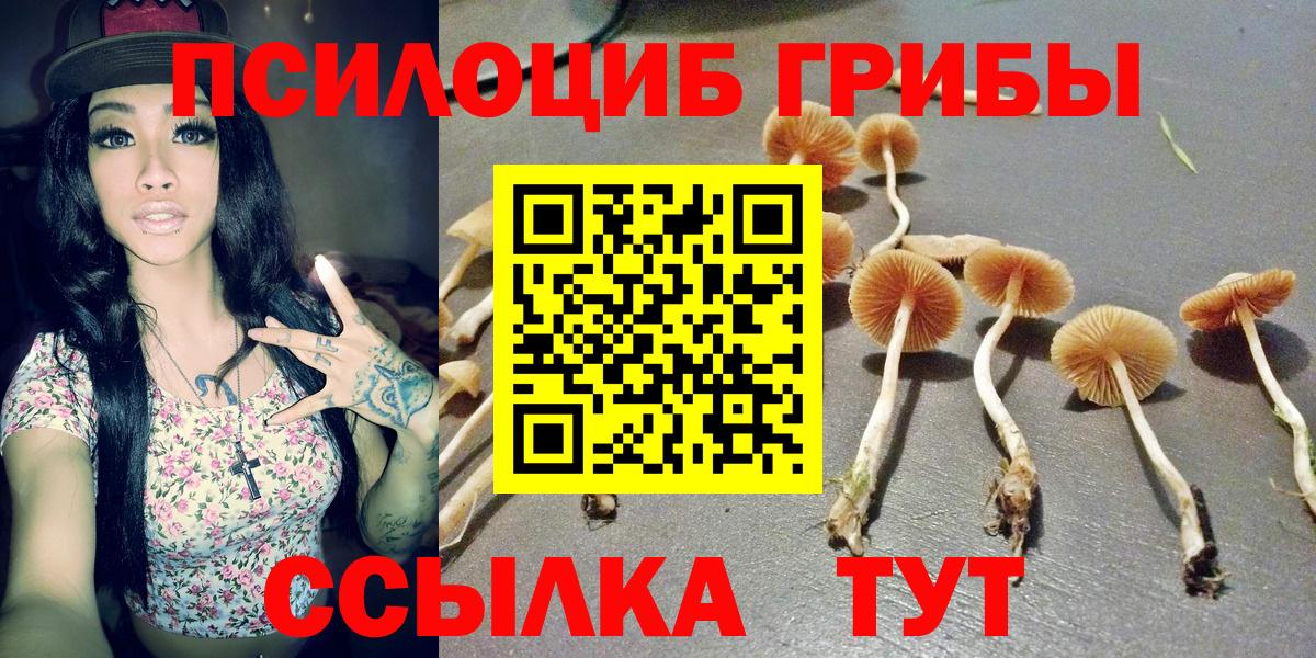 Боровичи  Псилоцибиновые грибы прущие грибы  Вход с VPN 