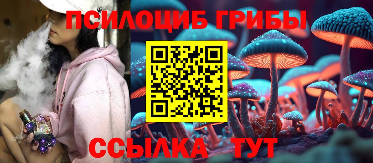 Псилоцибиновые грибы прущие грибы Боровичи